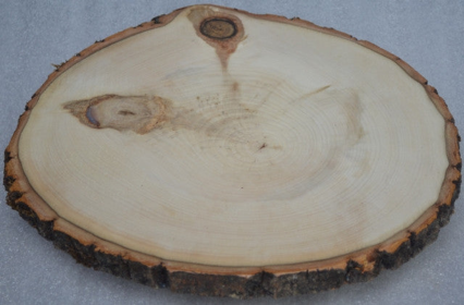 Rustic Lazy Susan, Log Slice with bark (size: 11" to 12")