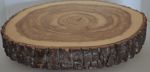 Rustic Wood Slab, Charcuterie boards, Cutting Boards, Cake Stands, Serving Platters or Center Pieces With Bark (size: 12" to 13")