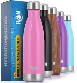 Hydration Nation Double Wall Insulated Water Bottle (Color: BBBL-GM, size: 17oz)